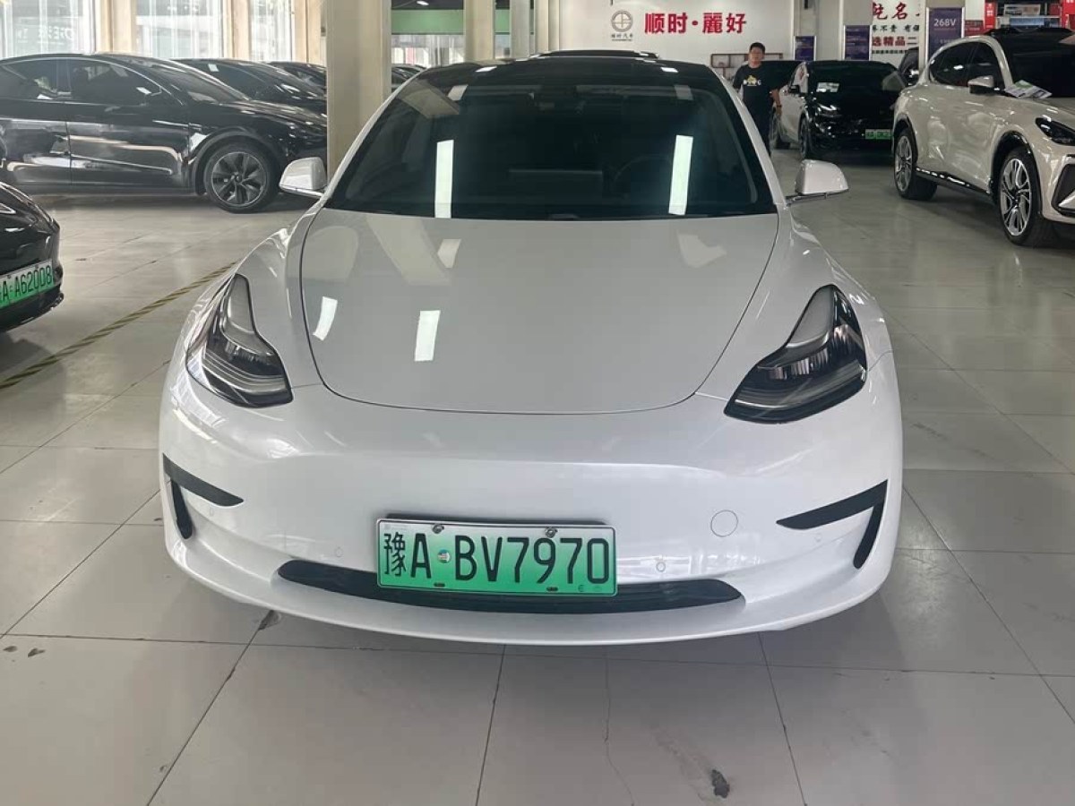 特斯拉 Model 3  2019款 標(biāo)準(zhǔn)續(xù)航后驅(qū)升級(jí)版圖片