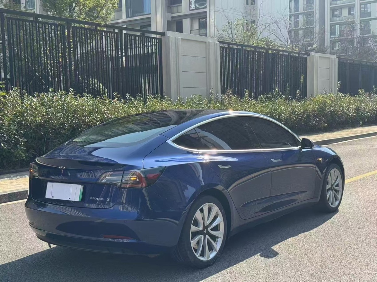 特斯拉 Model 3  2020款 標(biāo)準(zhǔn)續(xù)航后驅(qū)升級(jí)版圖片