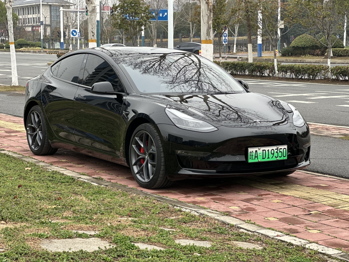 2022年1月特斯拉 Model 3  2019款 Performance高性能全輪驅(qū)動(dòng)版