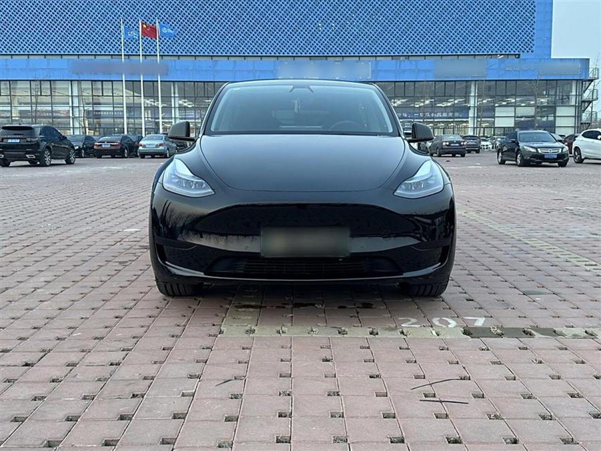 特斯拉 Model 3  2022款 后輪驅(qū)動版圖片