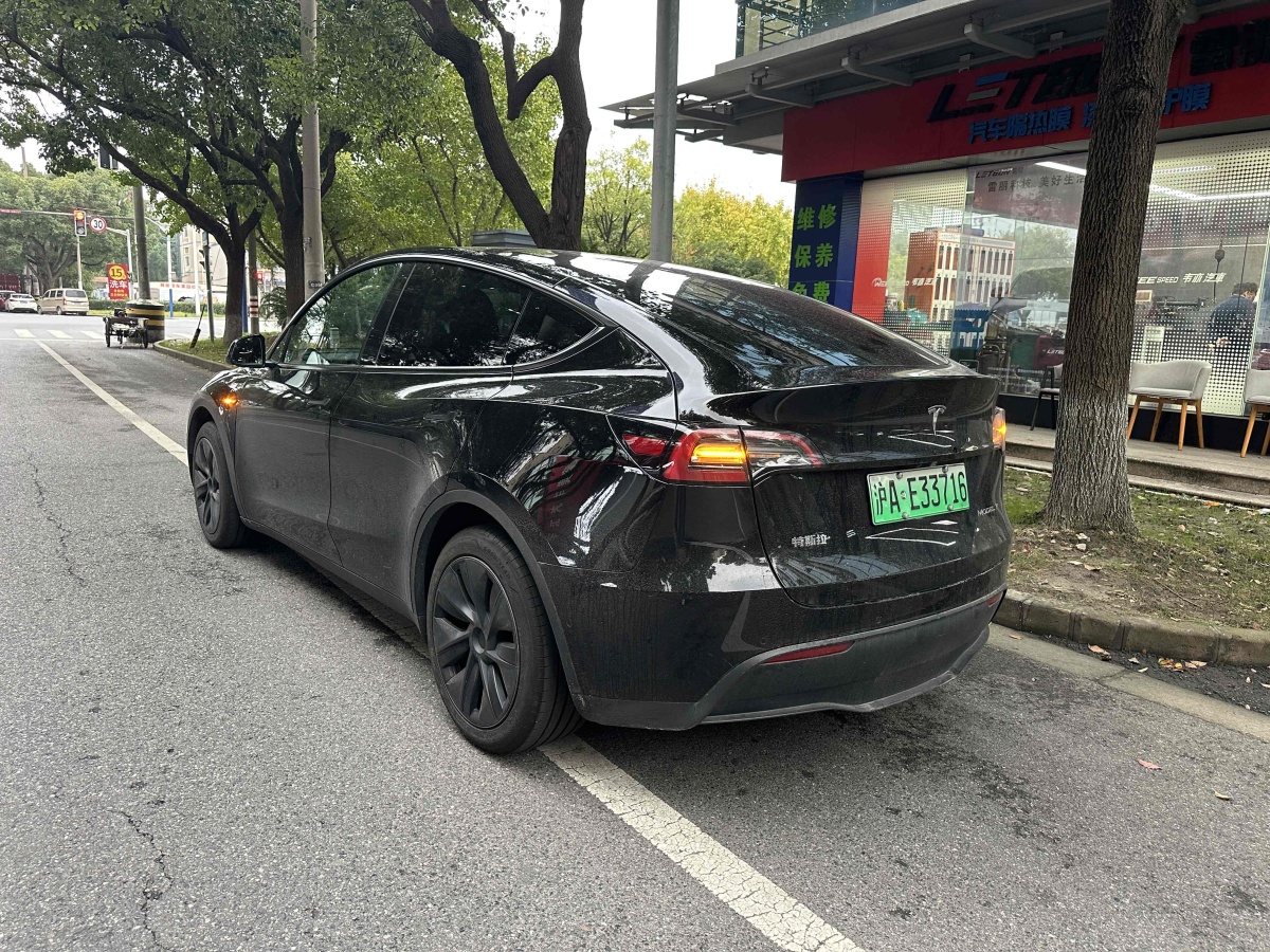 特斯拉 Model Y  2023款 煥新版 后輪驅(qū)動圖片