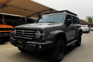 坦克300 坦克 2.0T 坦克游俠
