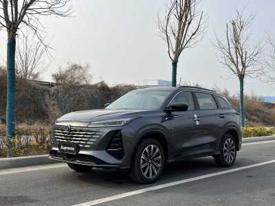 2024年4月 長(zhǎng)安 CS75 PLUS 第三代 冠軍版 2.0T 智駕勁擎型圖片