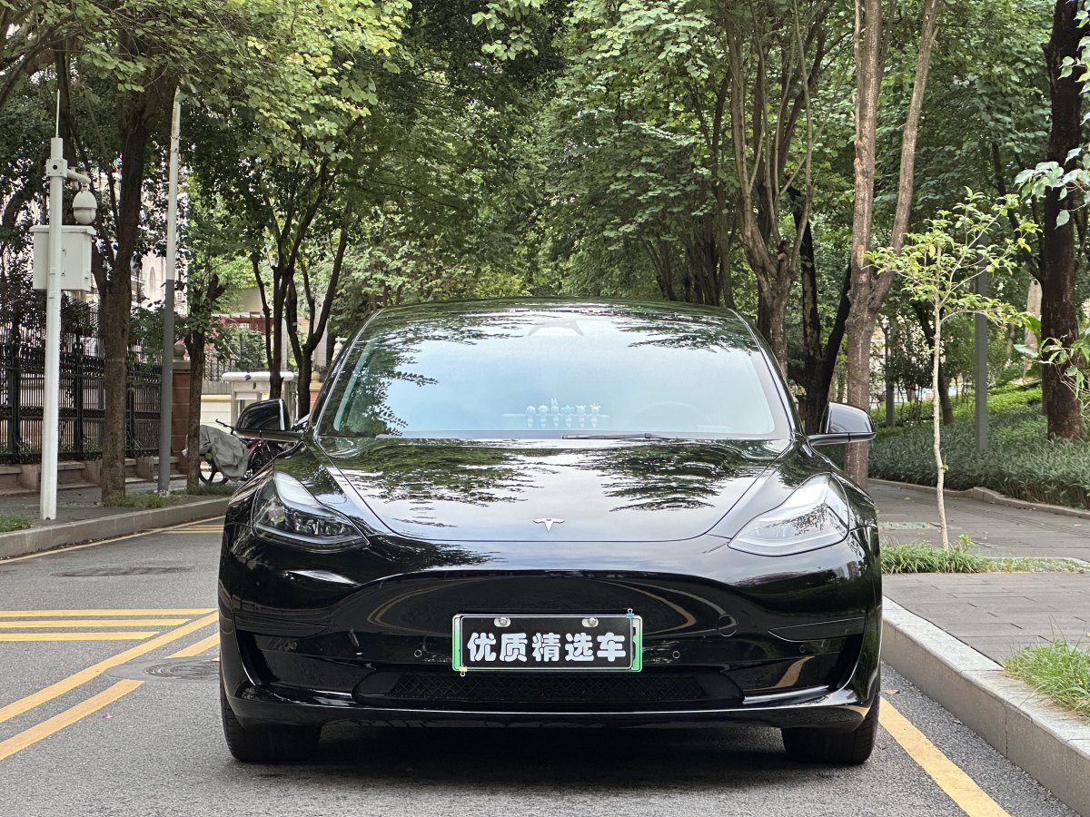 特斯拉 Model 3  2022款 改款 后輪驅(qū)動(dòng)版圖片