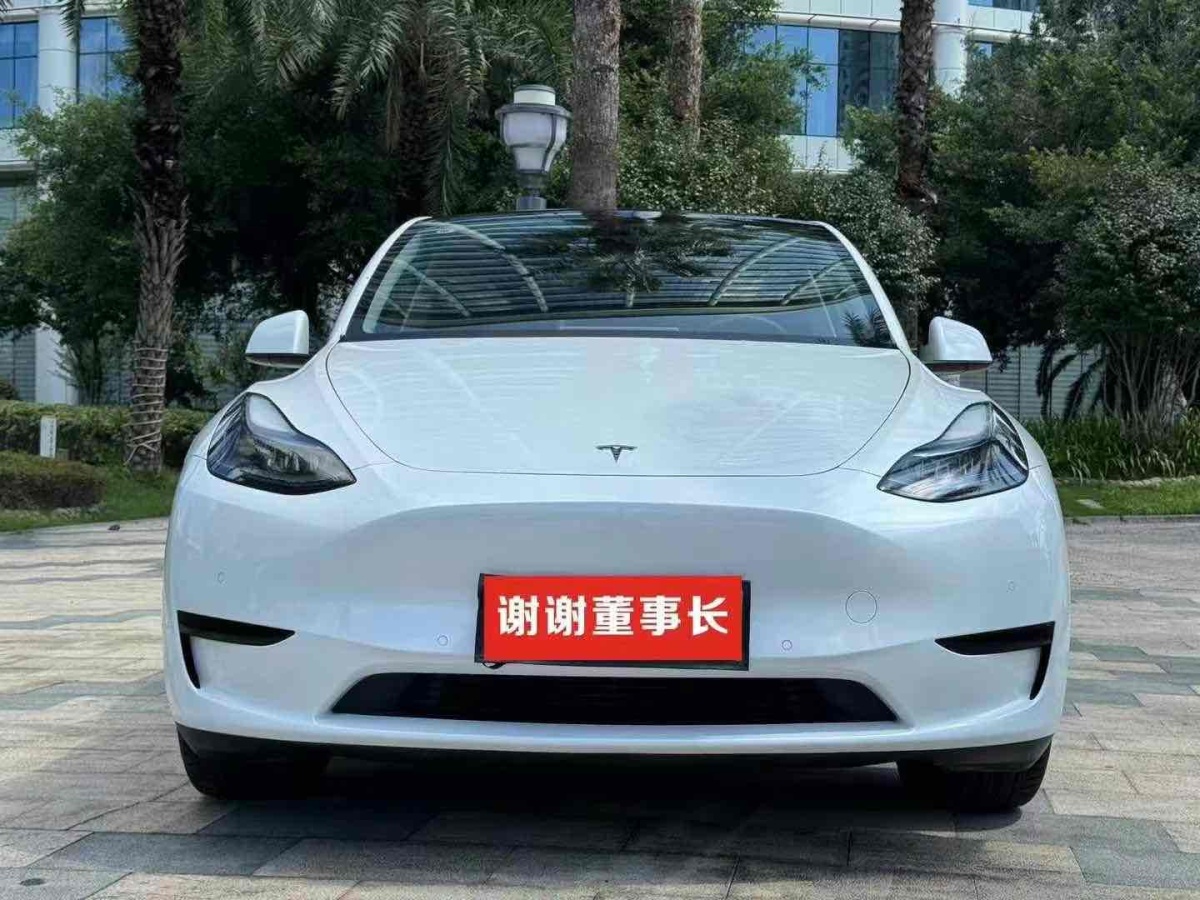 特斯拉 Model 3  2021款 改款 標準續(xù)航后驅(qū)升級版圖片