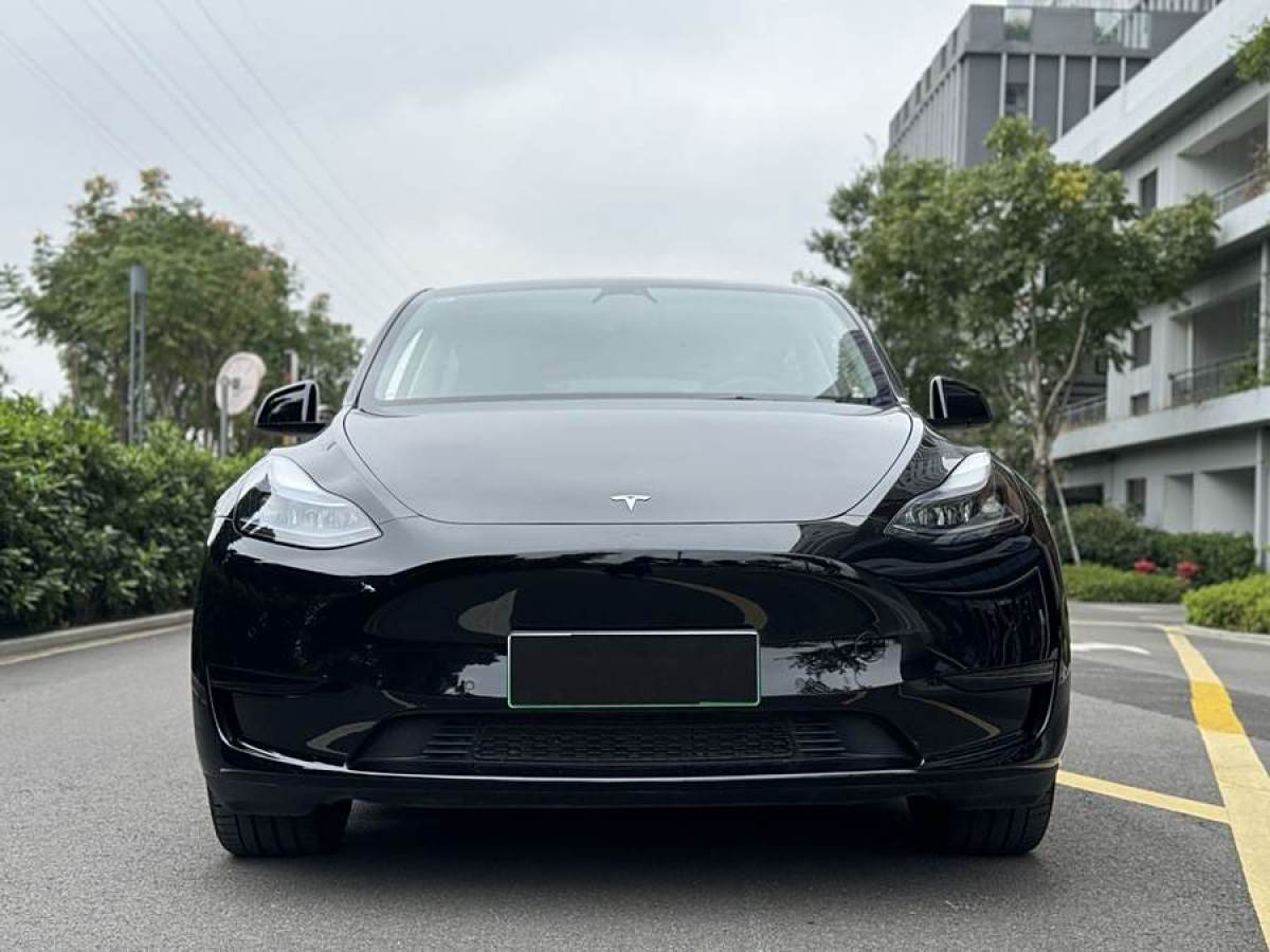 特斯拉 Model 3  2023款 煥新版 后輪驅(qū)動圖片