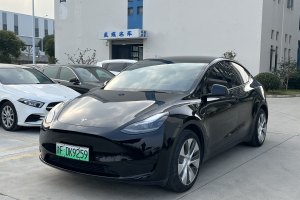 Model Y 特斯拉 改款 标准续航后驱升级版