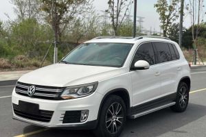 途觀 大眾 1.8 TSI 30周年紀念版