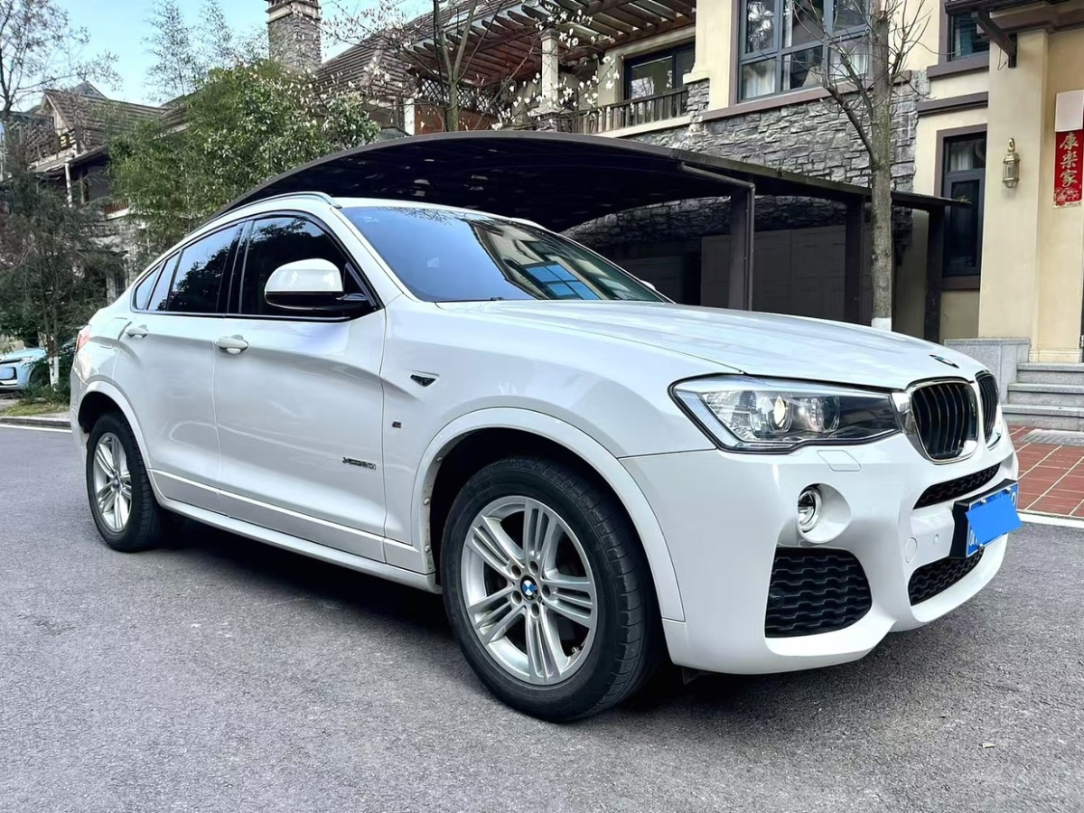 寶馬 寶馬X4  2014款 xDrive20i X設(shè)計(jì)套裝圖片