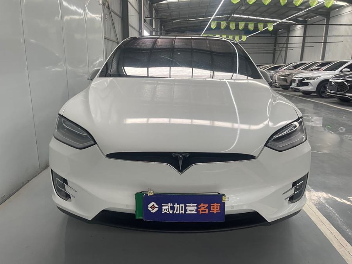 特斯拉 Model X  2019款 長(zhǎng)續(xù)航版圖片