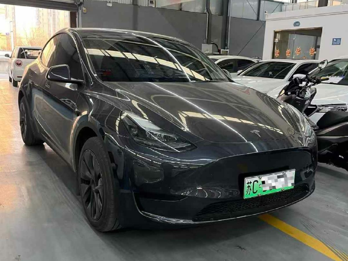 特斯拉 Model Y  2024款 Performance高性能版圖片