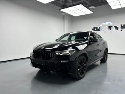2021年9月 寶馬 寶馬X6(進(jìn)口) xDrive30i M運(yùn)動(dòng)套裝圖片