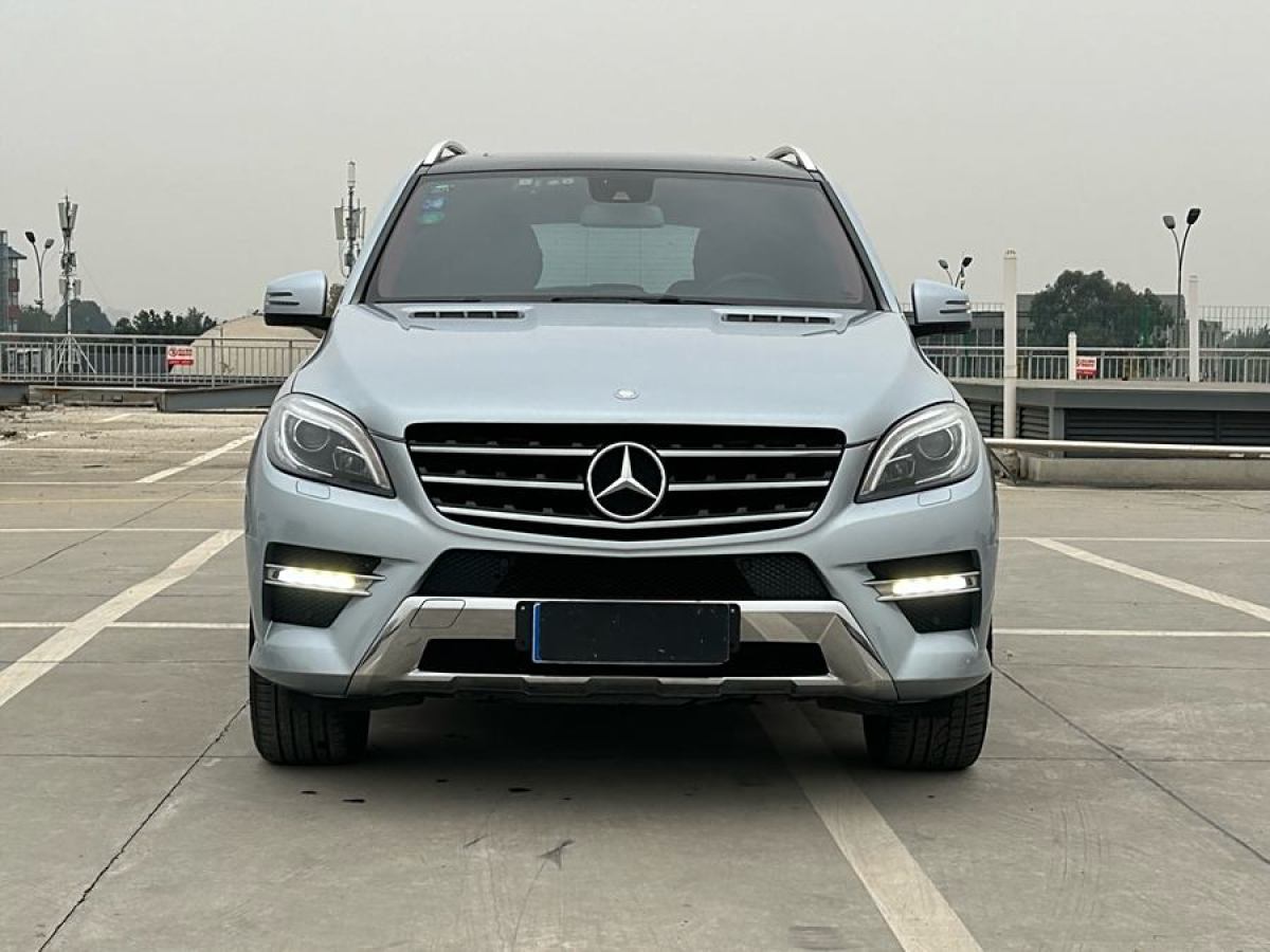 2014年1月奔馳 奔馳M級  2014款 ML 320 4MATIC