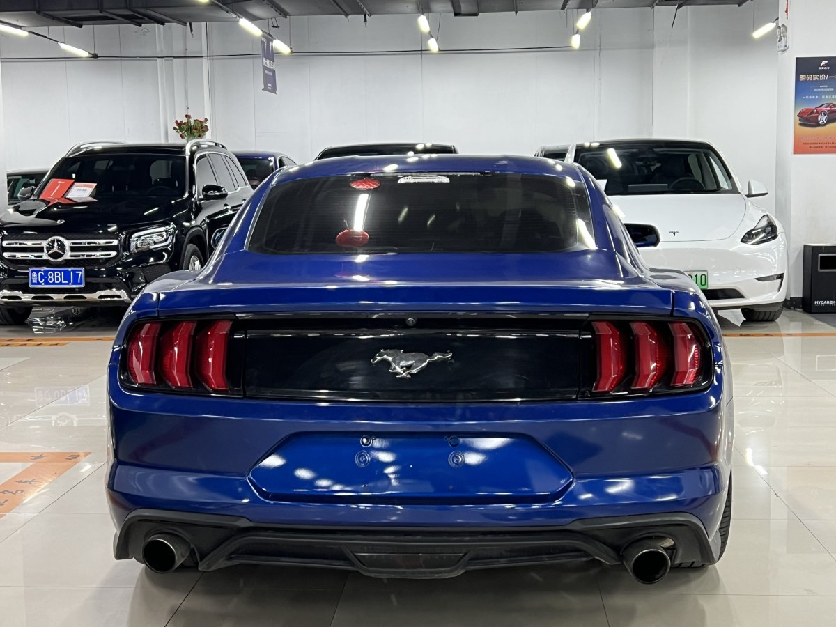 福特 Mustang  2017款 2.3T 性能版圖片