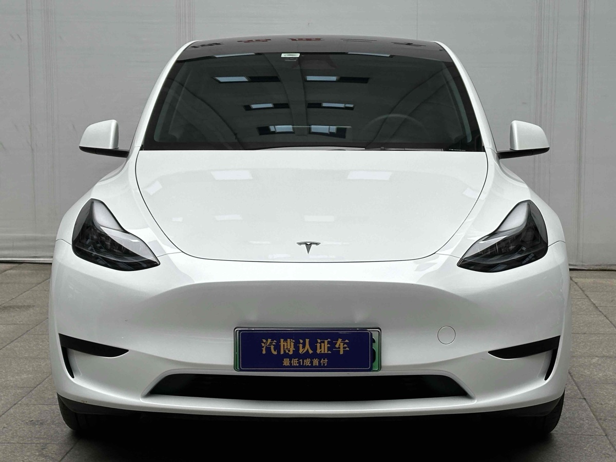 特斯拉 Model 3  2020款 改款 長續(xù)航后輪驅(qū)動版圖片