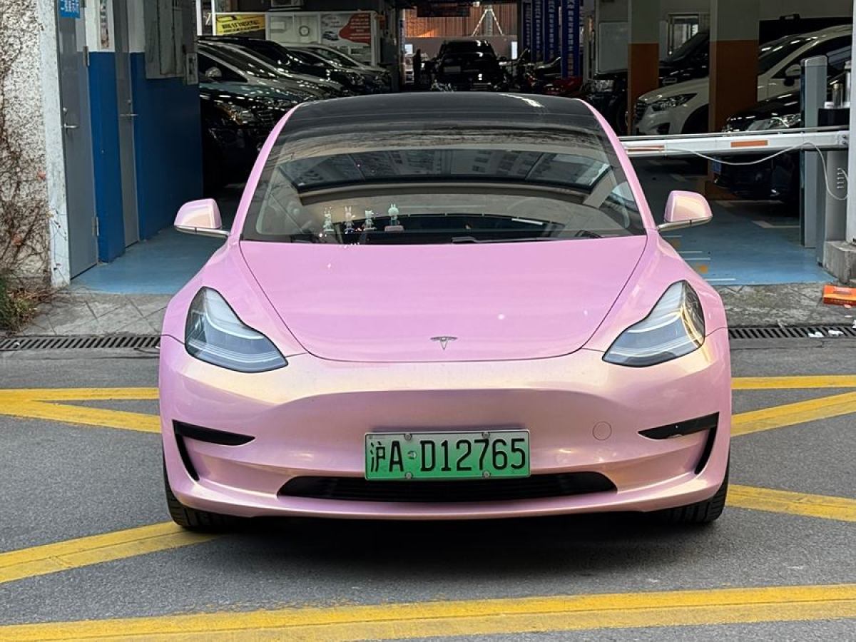 特斯拉 Model 3  2019款 標(biāo)準(zhǔn)續(xù)航后驅(qū)升級(jí)版圖片