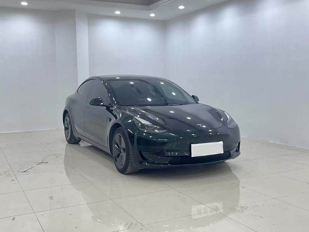 2021年4月特斯拉 Model 3  2021款 改款 標(biāo)準(zhǔn)續(xù)航后驅(qū)升級版