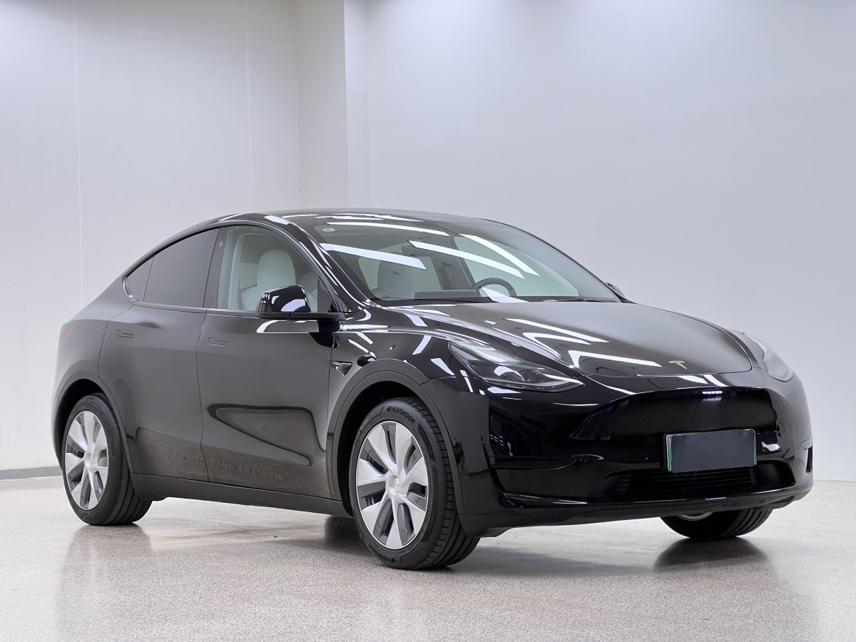 特斯拉 Model Y  2022款 后輪驅(qū)動版圖片