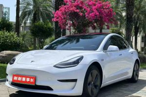 Model X 特斯拉 Performance 高性能版