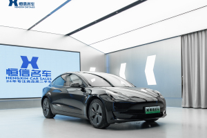 Model 3 特斯拉 改款 后輪驅(qū)動版