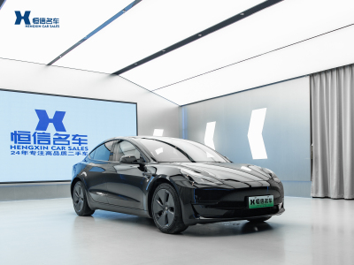 2022年3月 特斯拉 Model 3 改款 后輪驅(qū)動(dòng)版圖片