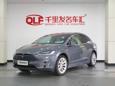 2018年4月 特斯拉 Model X Model X 100D 长续航版图片