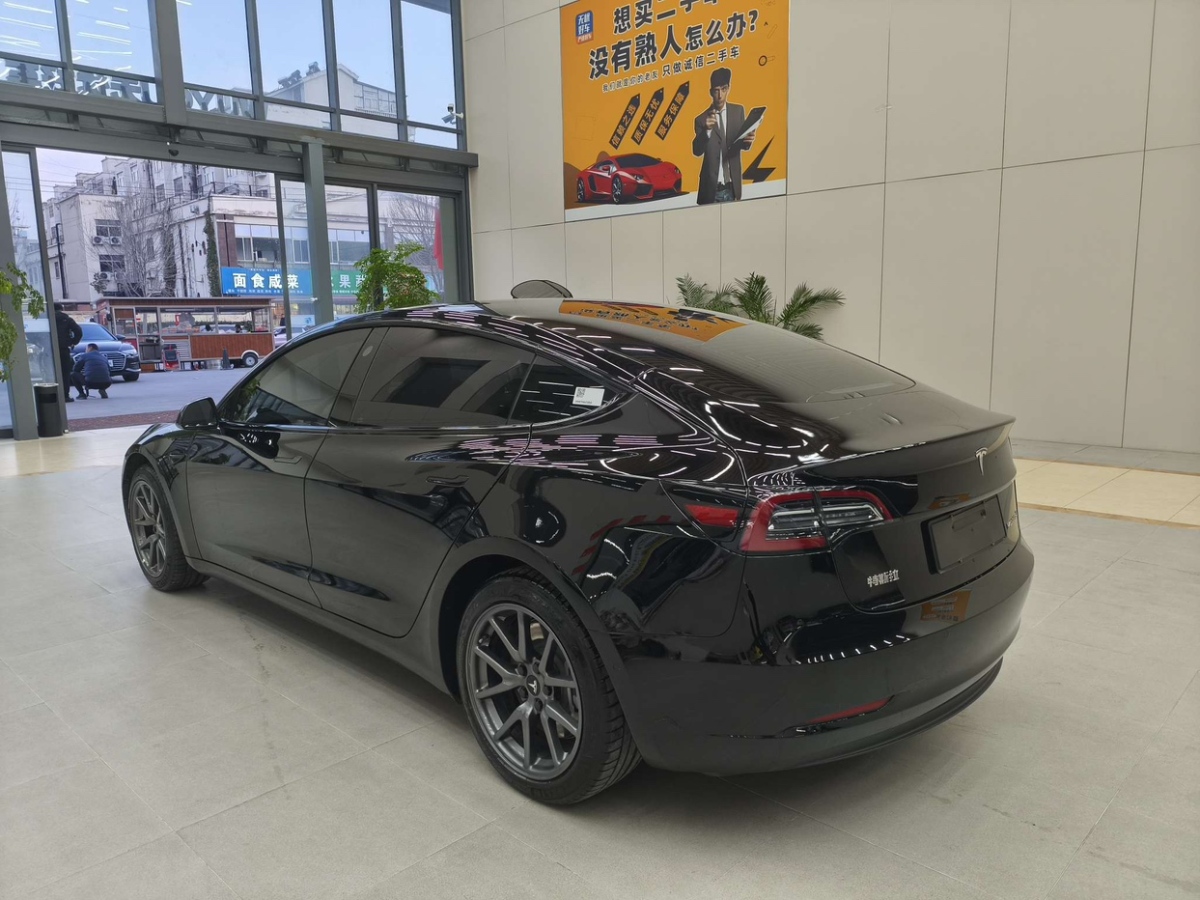 特斯拉 Model 3  2020款 改款 標(biāo)準(zhǔn)續(xù)航后驅(qū)升級(jí)版圖片