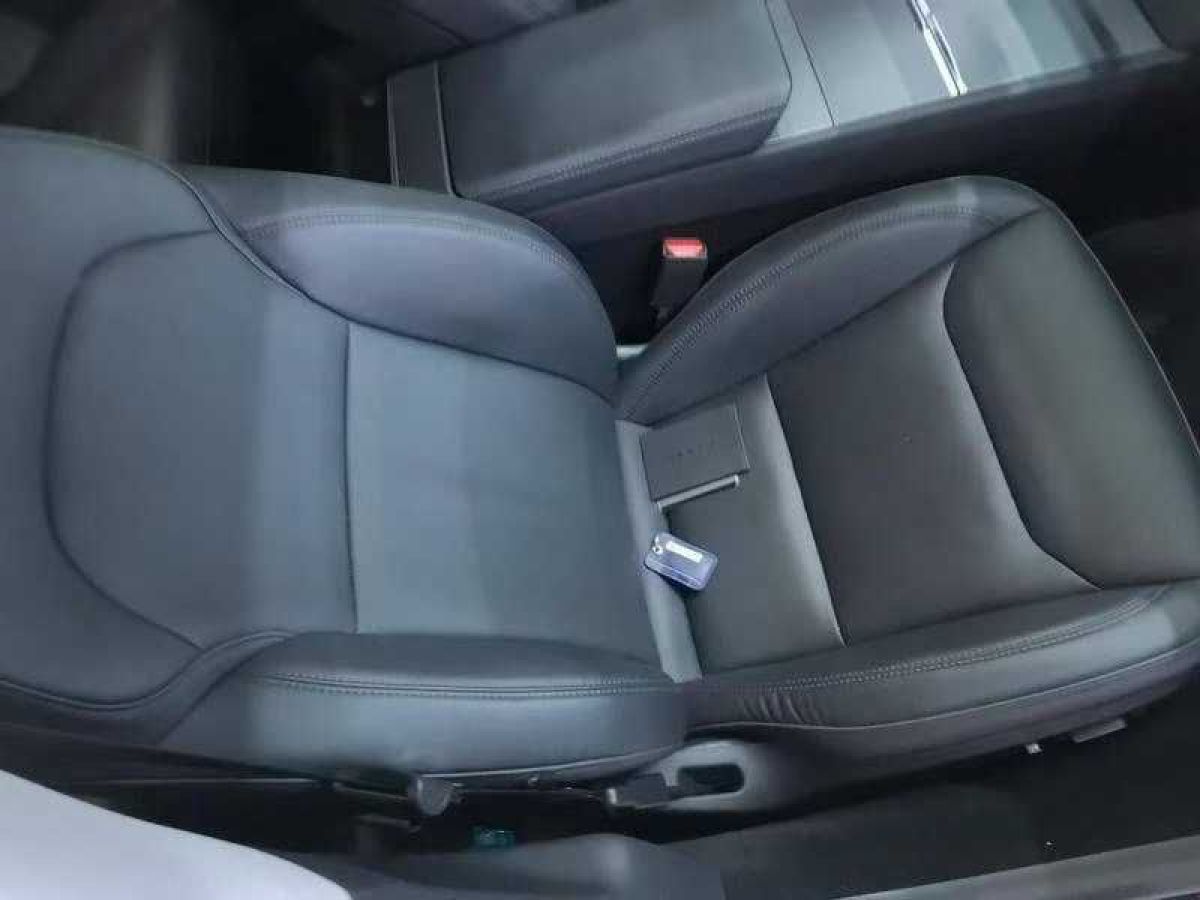 特斯拉 Model Y  2024款 Performance高性能版圖片