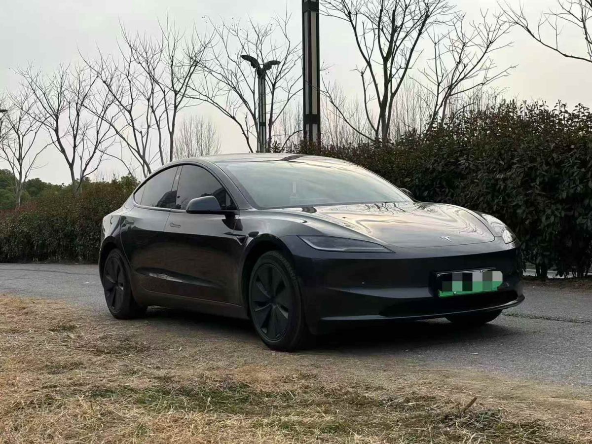 2024年3月特斯拉 Model Y  2024款 Performance高性能版