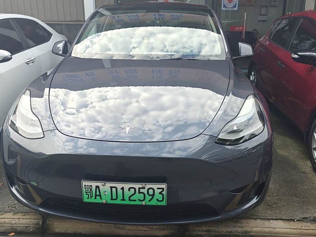 特斯拉 Model 3  2020款 改款 長續(xù)航后輪驅(qū)動(dòng)版圖片