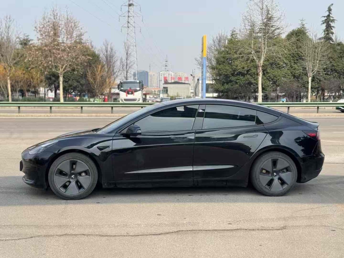 2021年1月特斯拉 Model 3  2019款 標準續(xù)航后驅(qū)升級版