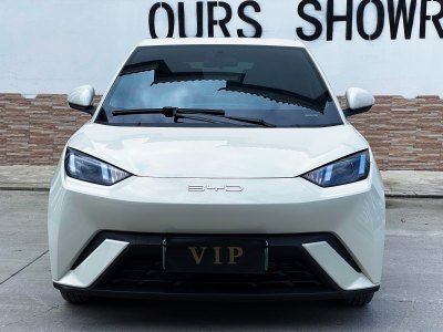 2024年3月 比亞迪 海鷗 榮耀版 305km 活力版圖片