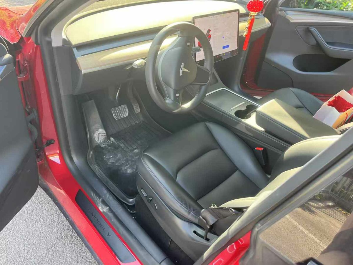 特斯拉 Model Y  2022款 Performance高性能全輪驅(qū)動(dòng)版圖片