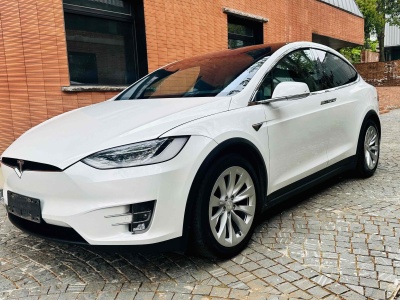 2019年9月 特斯拉 Model X 長續(xù)航版圖片