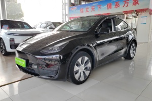 Model Y 特斯拉 改款 长续航后轮驱动版