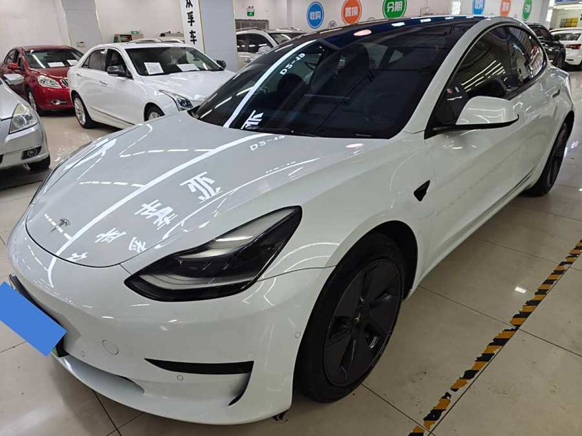 特斯拉 Model 3  2021款 改款 標(biāo)準(zhǔn)續(xù)航后驅(qū)升級版圖片