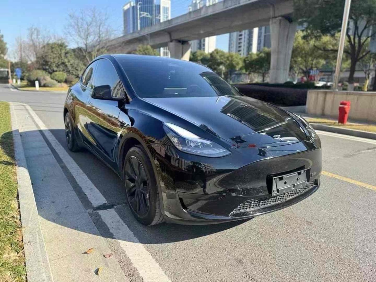 特斯拉 Model Y  2024款 后輪驅(qū)動(dòng)版圖片