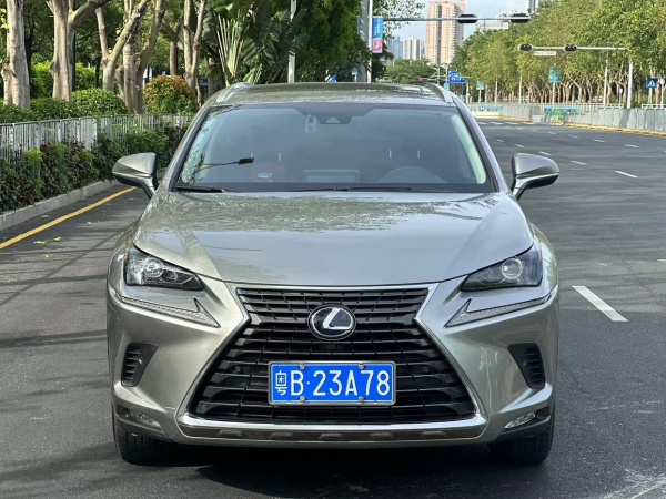 雷克萨斯 NX  2019款 300h 百万纪念限量版 国VI