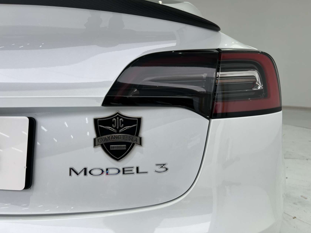 特斯拉 Model 3  2019款 標(biāo)準(zhǔn)續(xù)航后驅(qū)升級版圖片