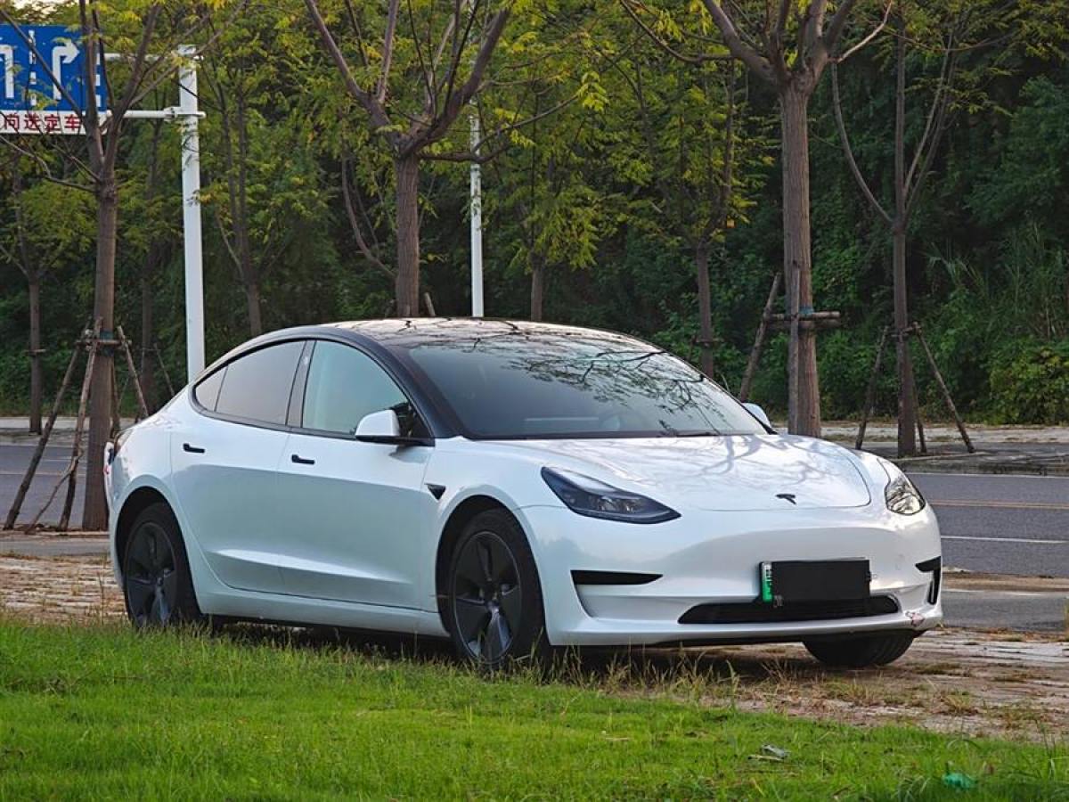 特斯拉 Model Y  2023款 后輪驅(qū)動版圖片