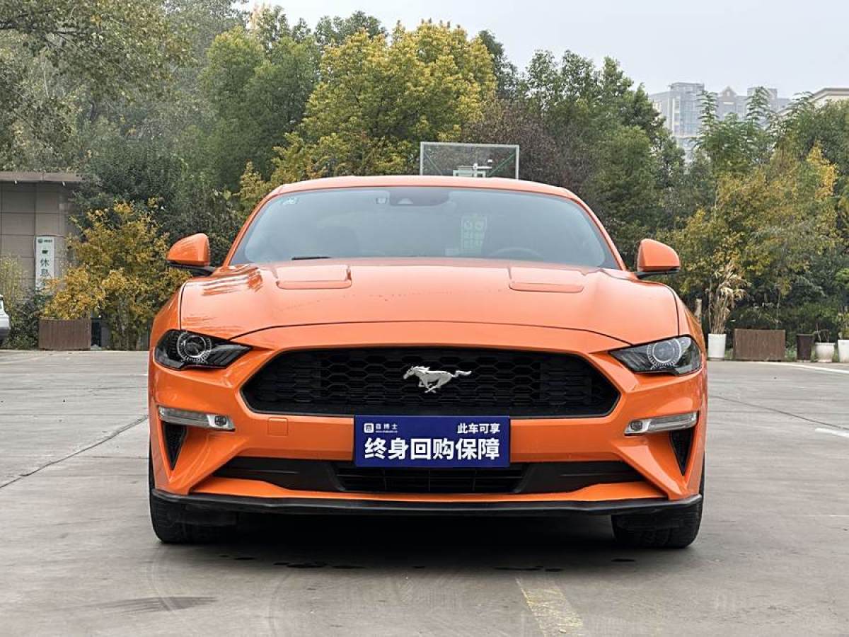 福特 Mustang  2019款 2.3L EcoBoost圖片