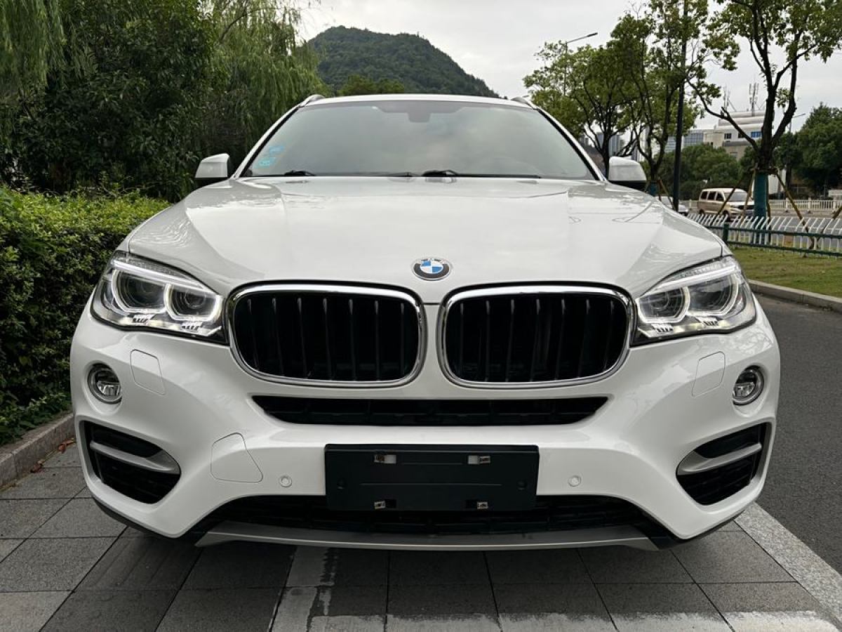 寶馬 寶馬X6  2015款 xDrive35i 領(lǐng)先型圖片