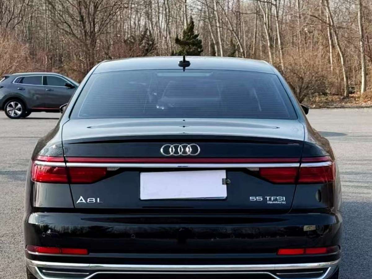 奧迪 奧迪A8  2019款 A8L 55 TFSI quattro 豪華型圖片