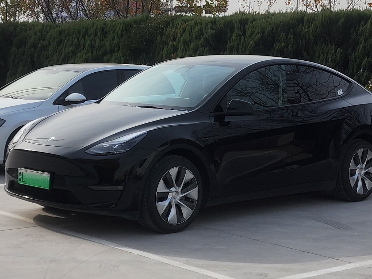 特斯拉 Model 3  2021款 改款 標(biāo)準(zhǔn)續(xù)航后驅(qū)升級(jí)版圖片