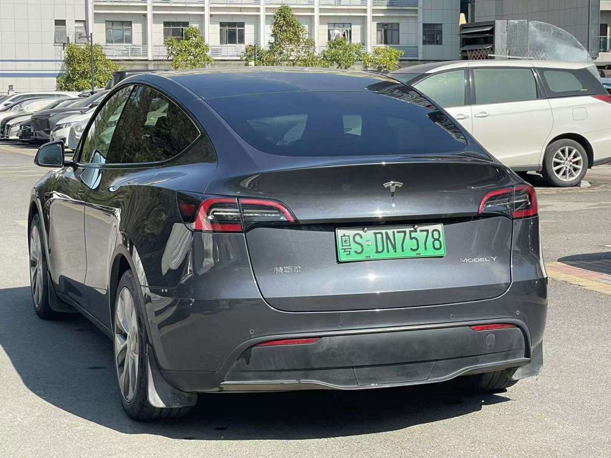 特斯拉 Model 3  2021款 標(biāo)準(zhǔn)續(xù)航后驅(qū)升級(jí)版 3D6圖片