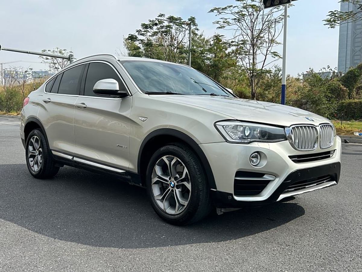 寶馬 寶馬X4  2014款 xDrive20i X設(shè)計套裝圖片