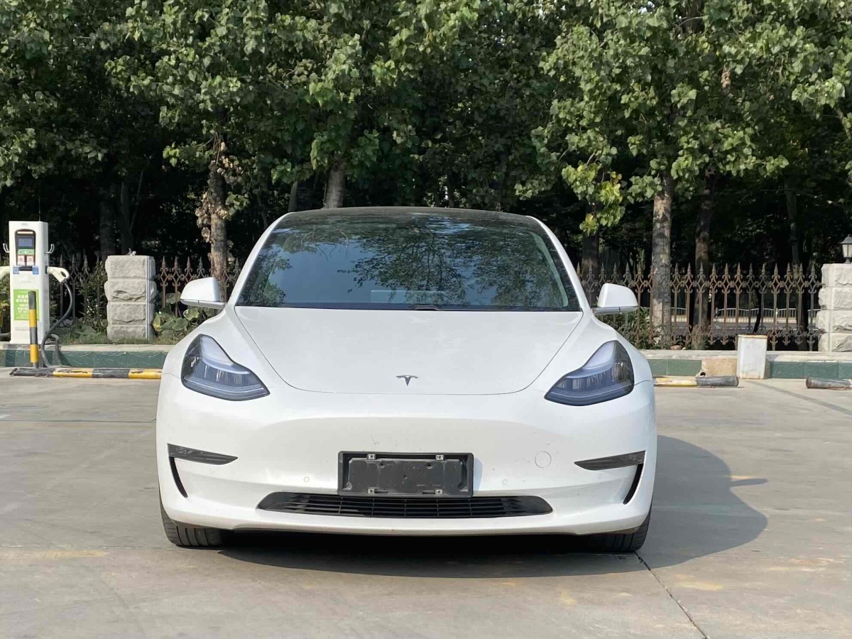 2020年8月特斯拉 Model Y  2020款 改款 長(zhǎng)續(xù)航后輪驅(qū)動(dòng)版