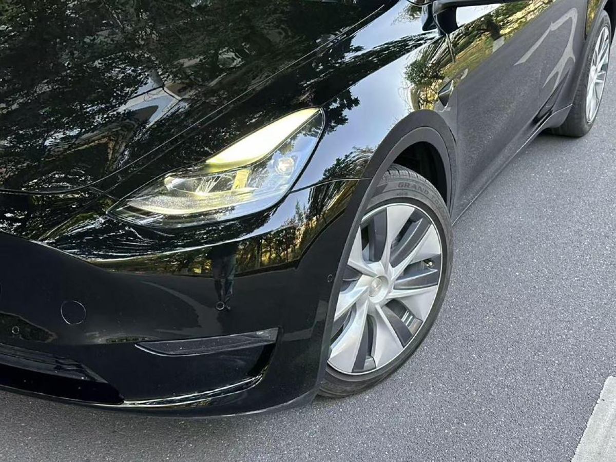 特斯拉 Model 3  2021款 改款 標準續(xù)航后驅(qū)升級版圖片