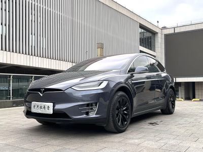 2019年8月 特斯拉 Model X 長續(xù)航版圖片