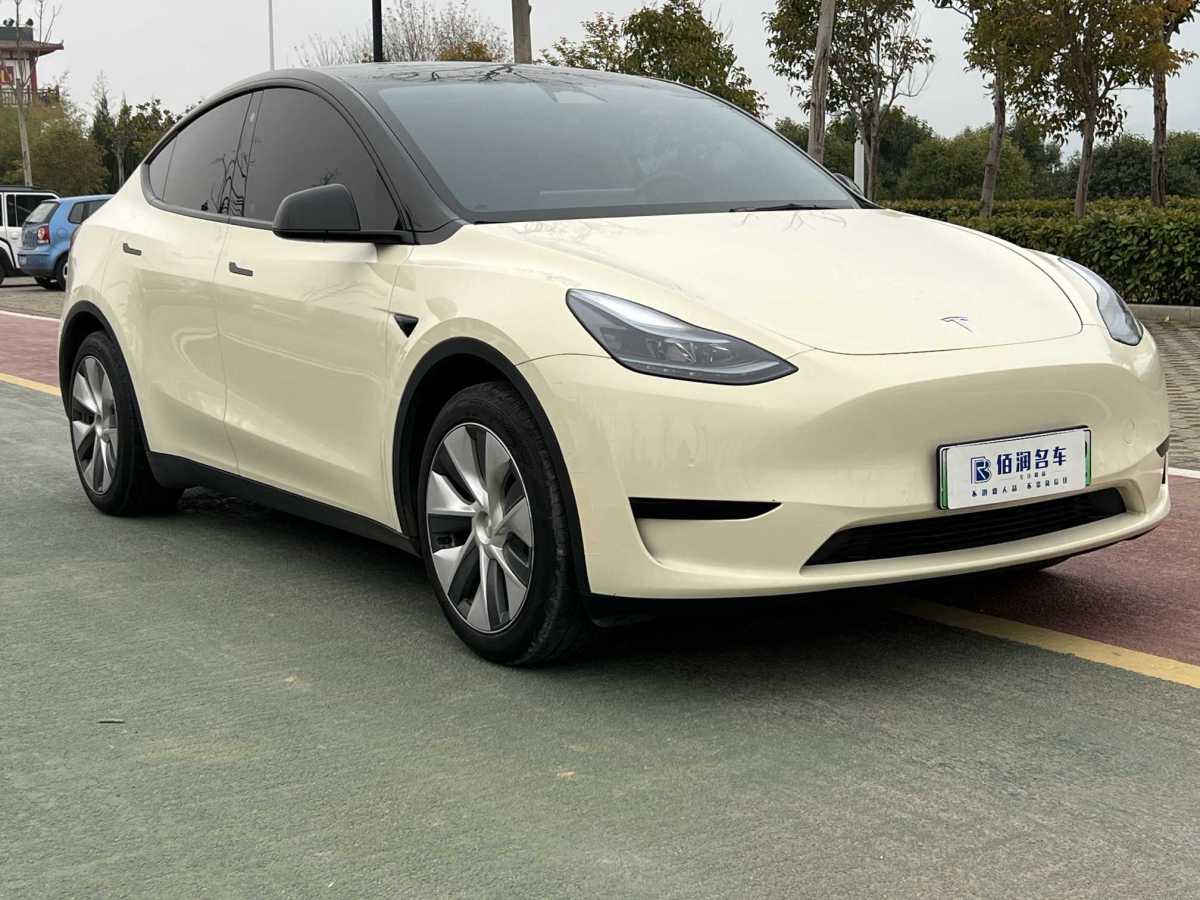 特斯拉 Model 3  2020款 改款 長續(xù)航后輪驅(qū)動(dòng)版圖片